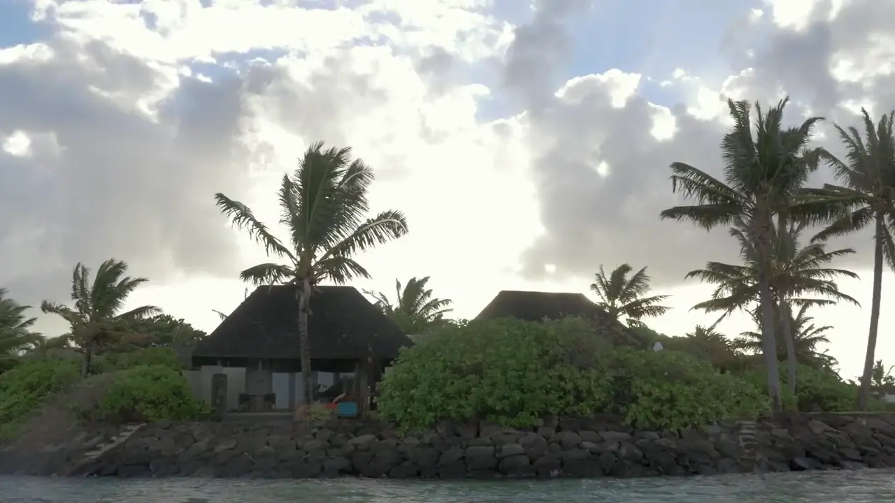 Tropical home surrounded by palm trees under a cloudy sky